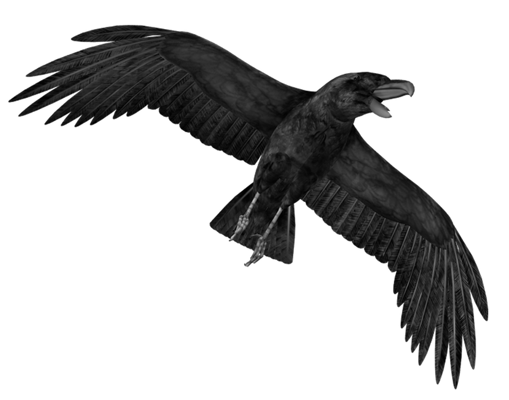 artwork crows darkness freyja goddess mythology Norse photomanipulation ravens albumart
