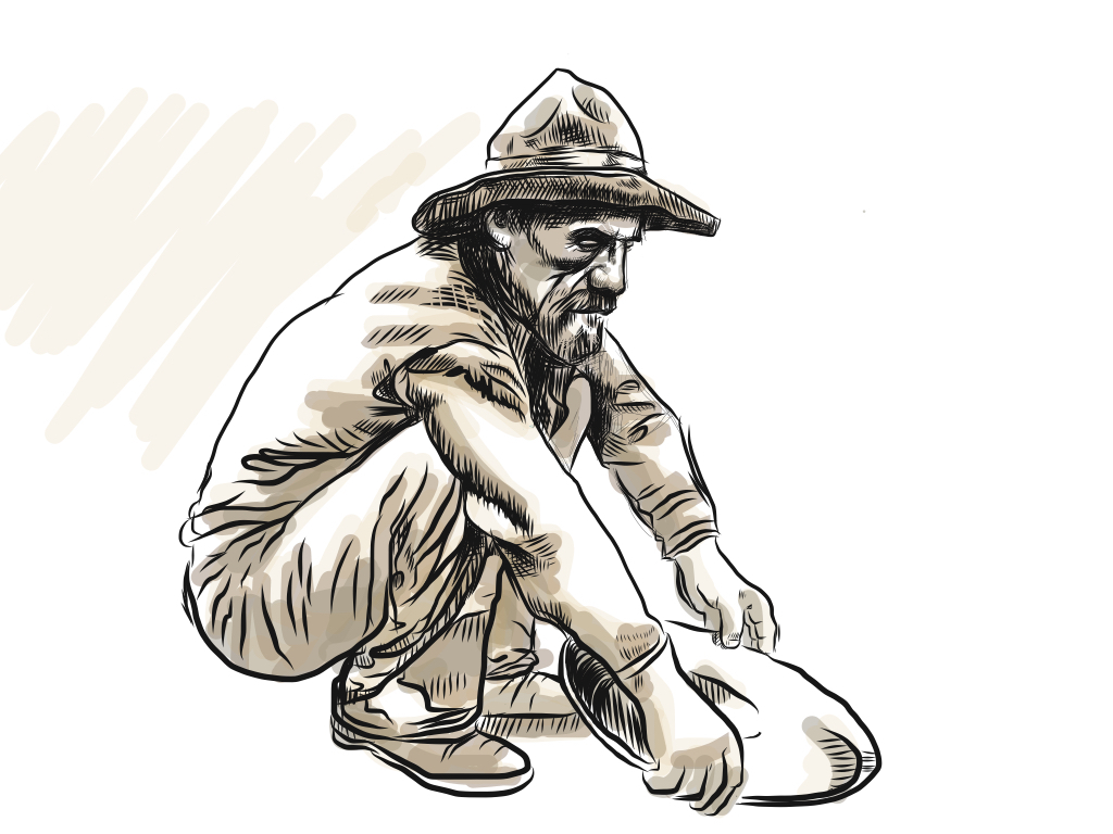 adobe illustrator draw Adobe Photoshop iPad sketch Digital Sketch prospector