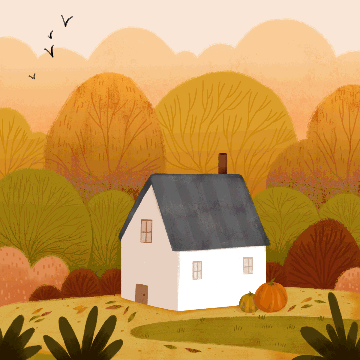 Home (illustrated Gifs) on Behance
