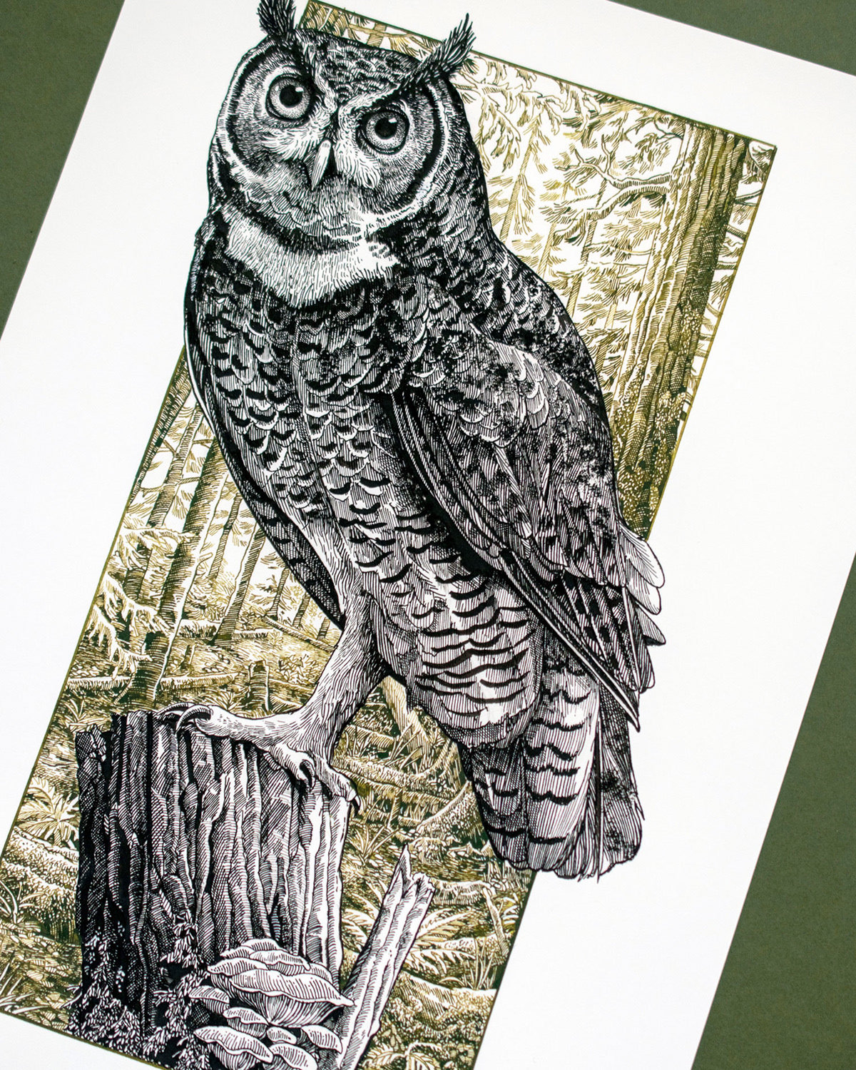 Adobe Portfolio animal artwork Drawing  ILLUSTRATION  ink line art Nature owl pen and ink
