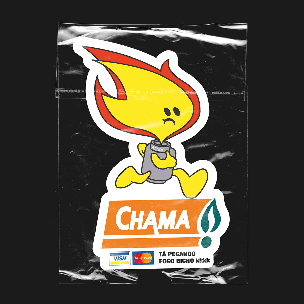 artwork Brasil Character design gráfico ILLUSTRATION  Mascot popular typography   vector vernacular