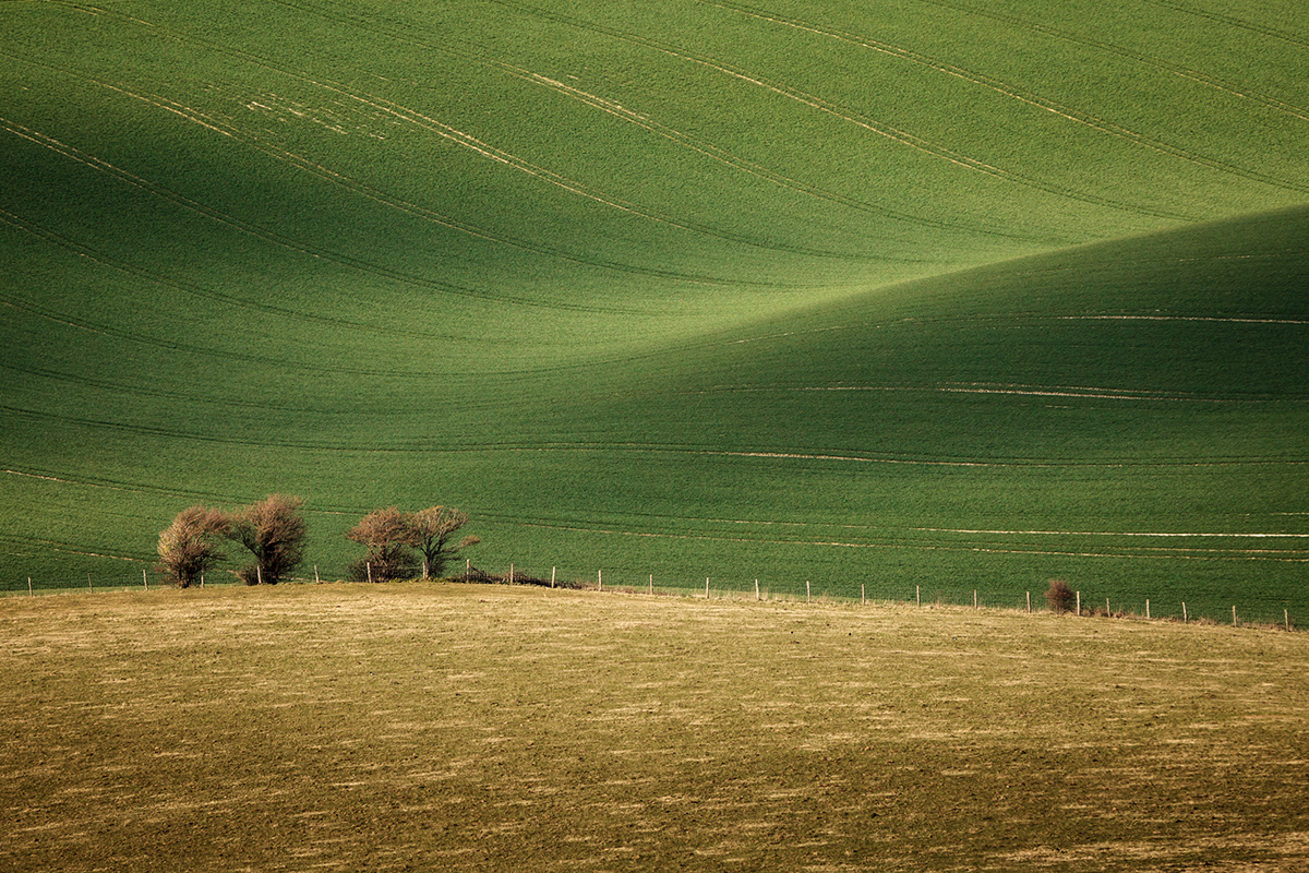 fieldwork fields hills south downs sussex rolling lines layers light Landscape National Park