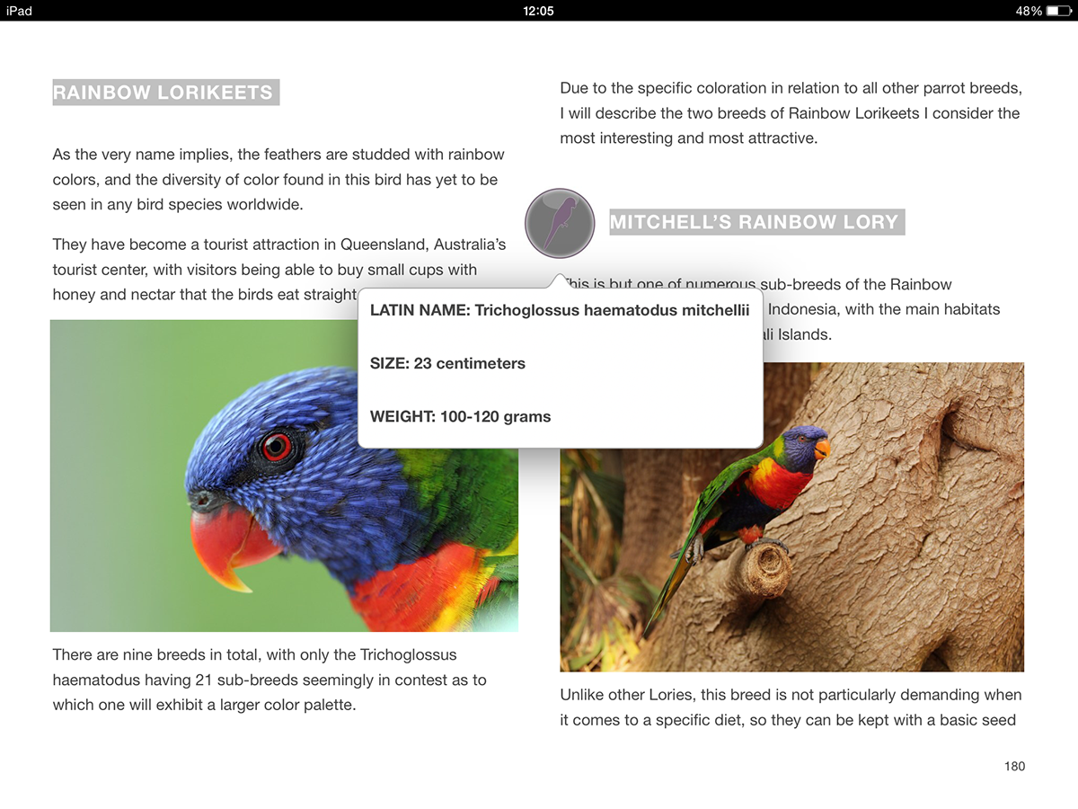 parrots iBooks iBooks Author ibookstore apple ibooks designer interactive book parrot