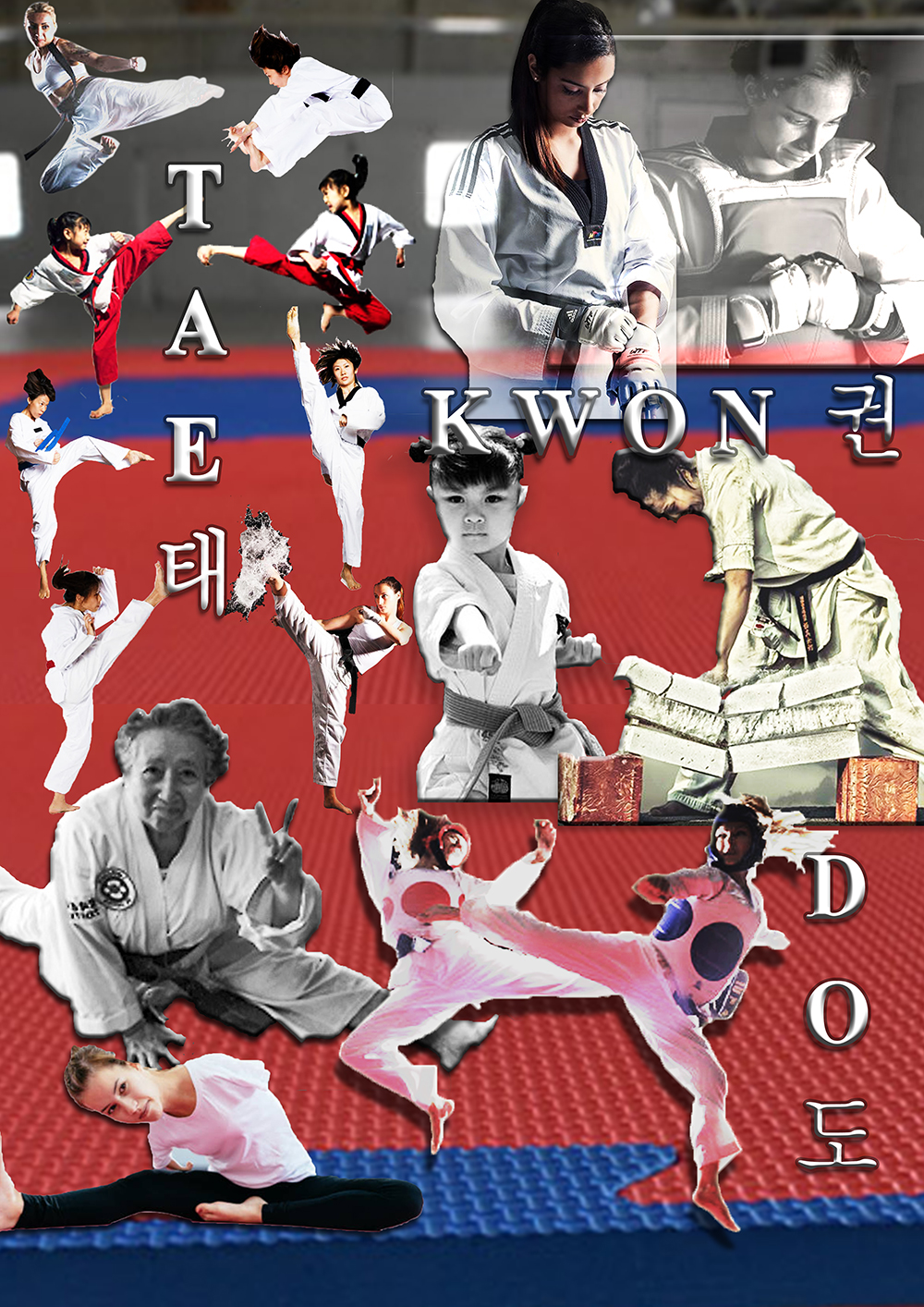 Fashion  Sportswear taekwondo