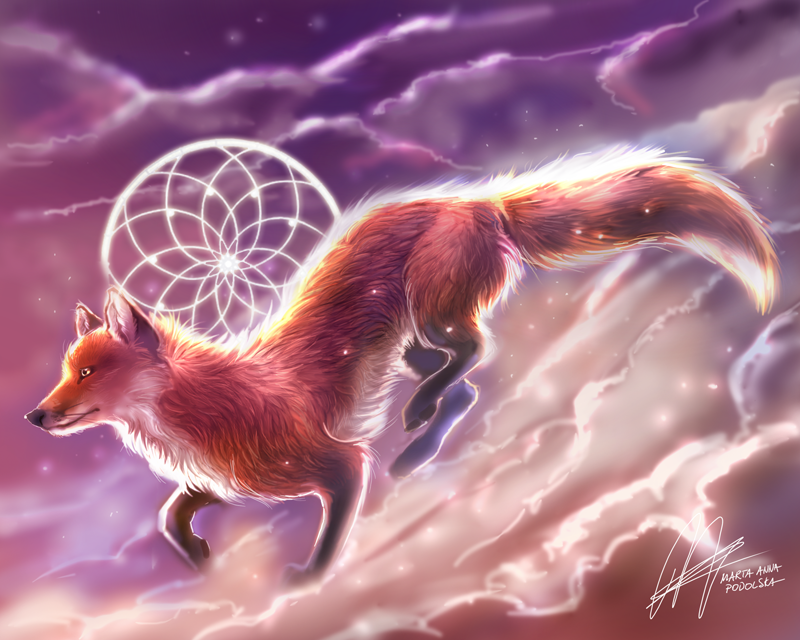 FOX foxes Native Magic   canine