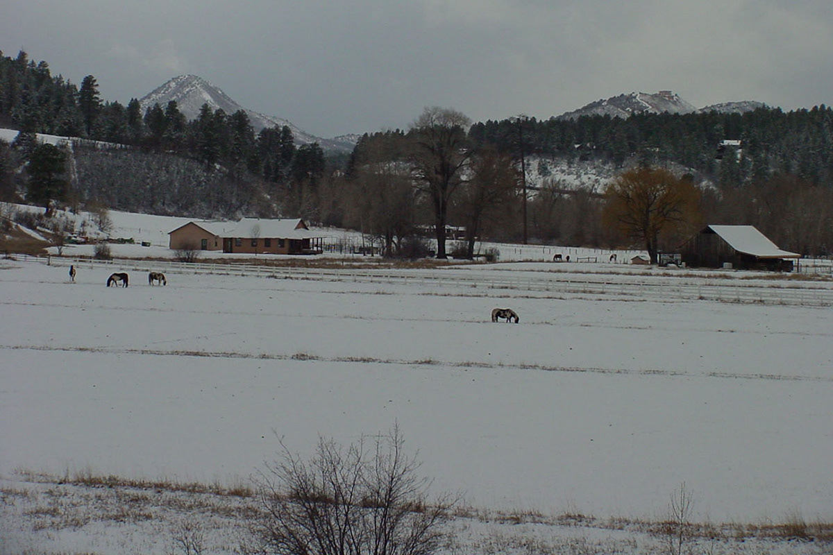 durango colorado Durango Colorado snow mountains horses ranches
