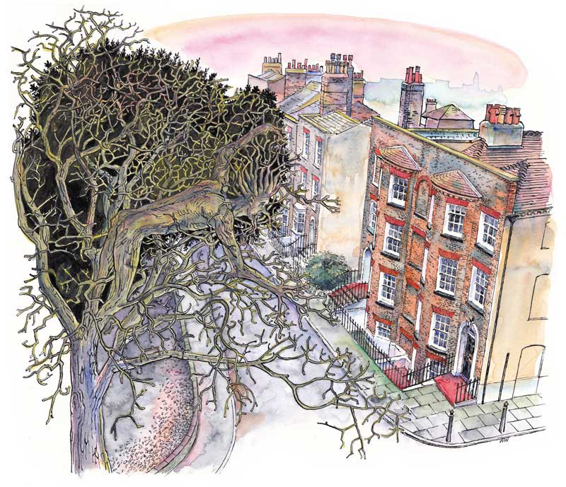Colour version of green man in Margate illustration
