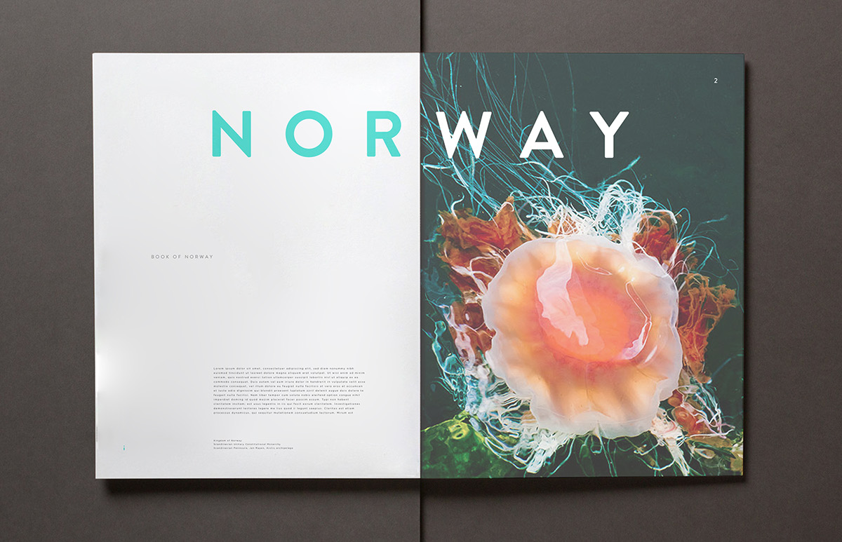 editorial print book logo norway Layout minimal clean Project type sans serif school