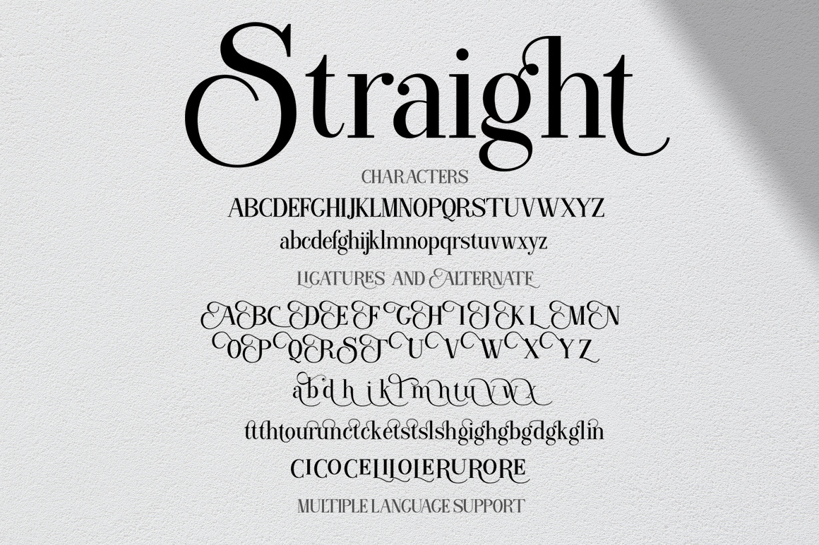 font Opentype Script serif Typeface vintage