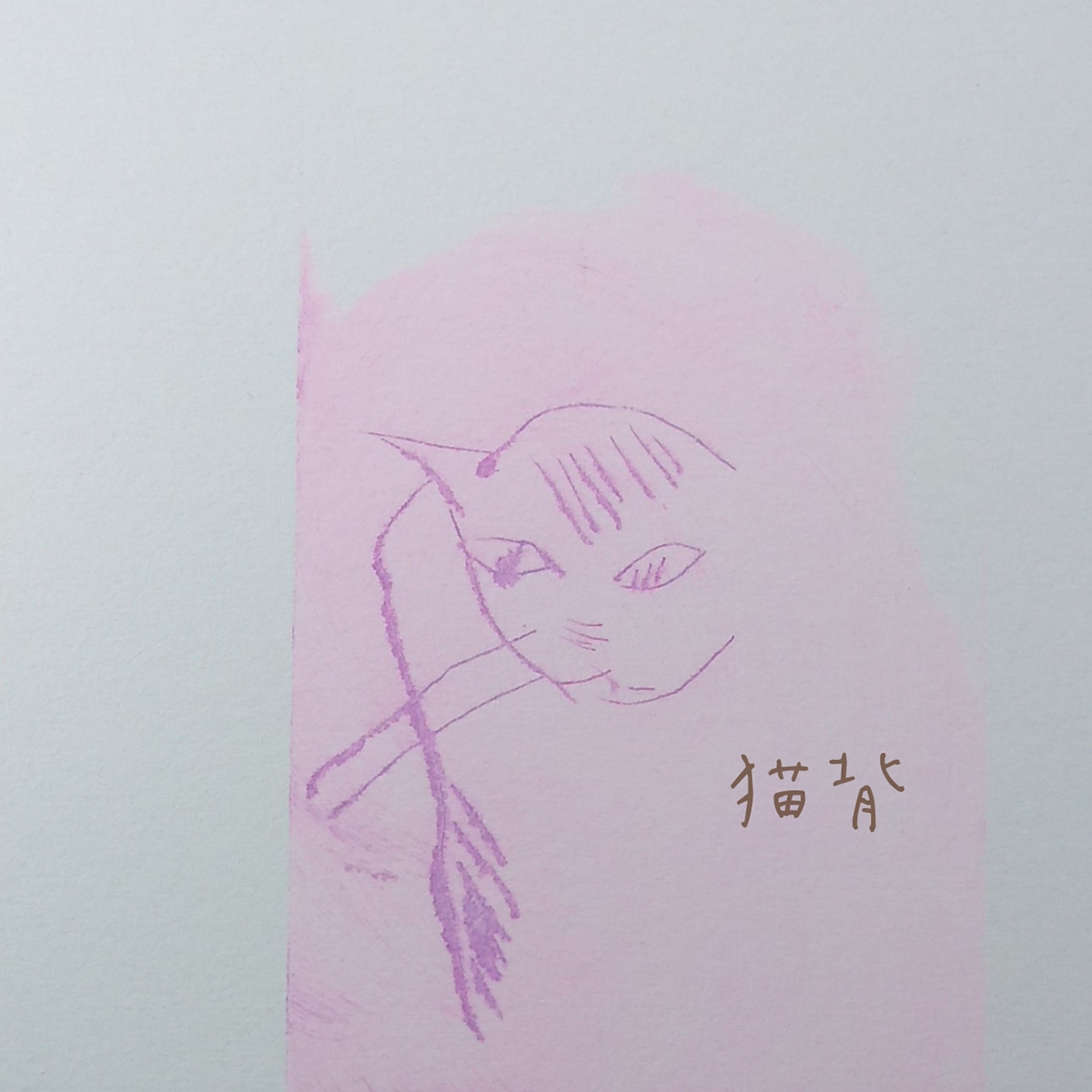 prints ILLUSTRATION  line art daily everyday japan Fan Art creative Adobe Portfolio Cat