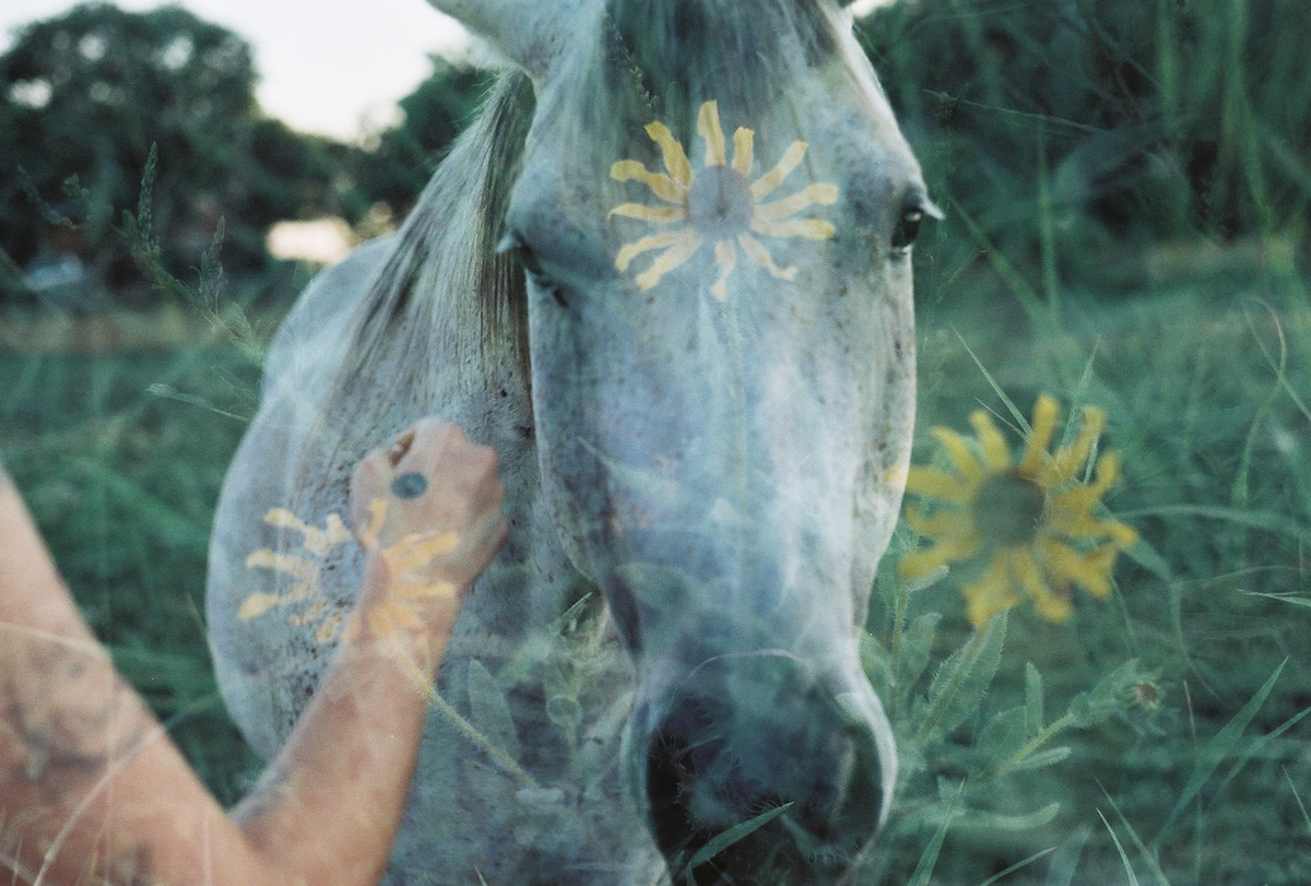 In-camera double exposure of a horse and flowers. Third eye visual art on 35mm film with canon ae1