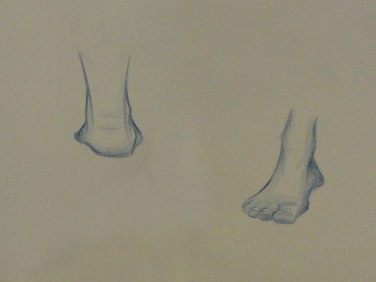 life drawing hands feet