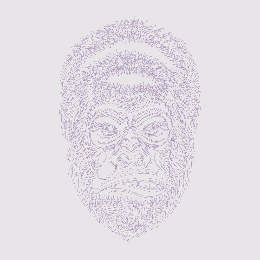 A gorilla head in vector outlines