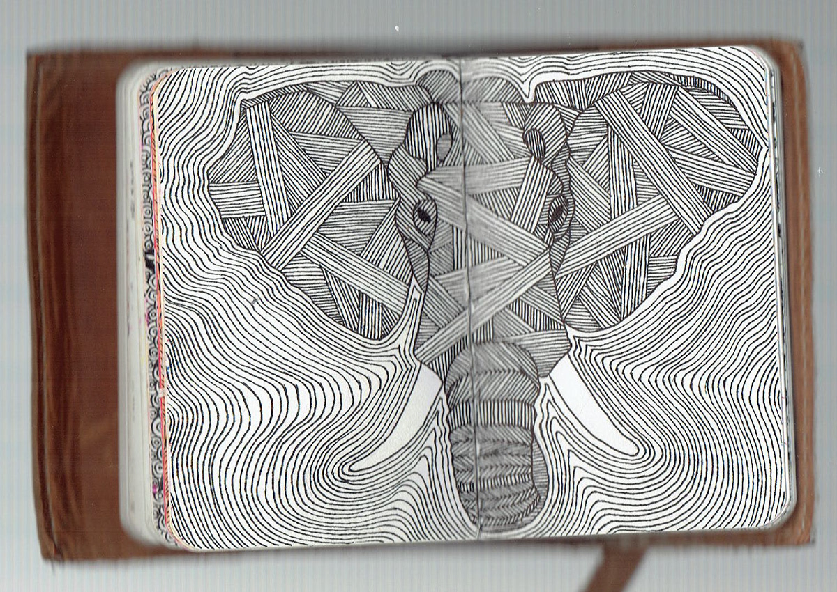 sketchbook sketch portrait animals student