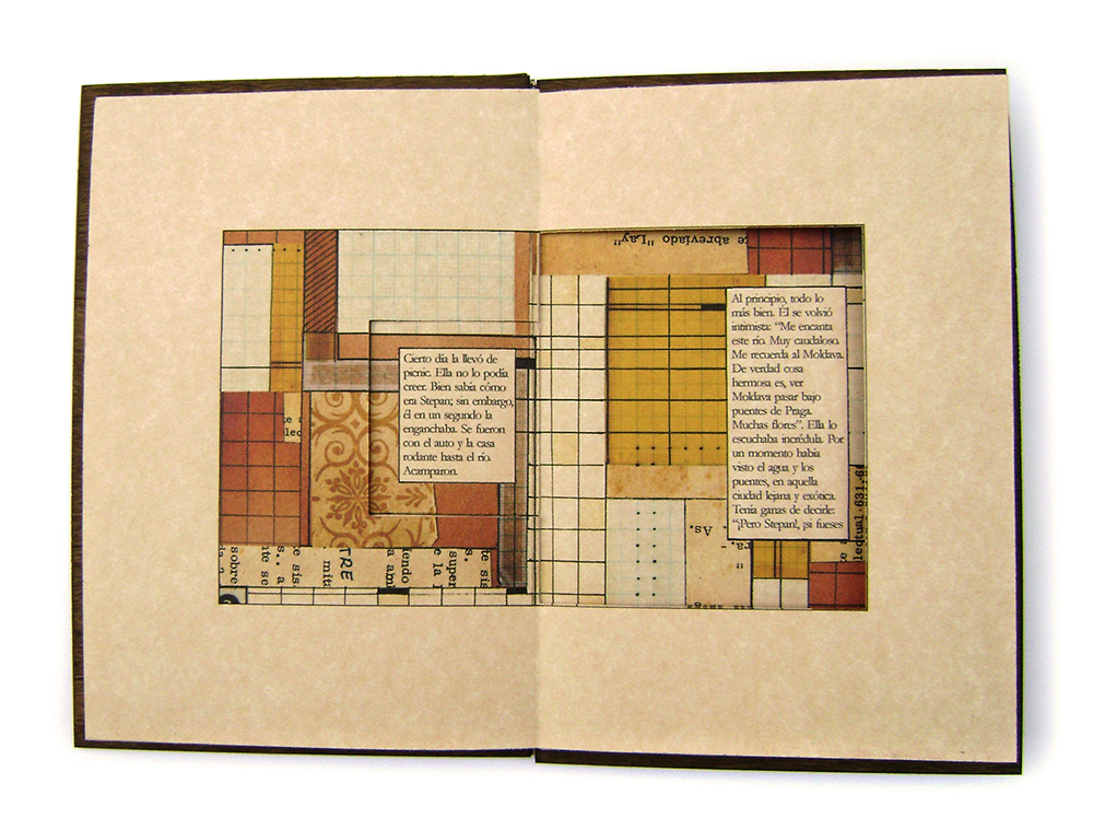 laiseca El Checoslovaco Diseño II libro objeto