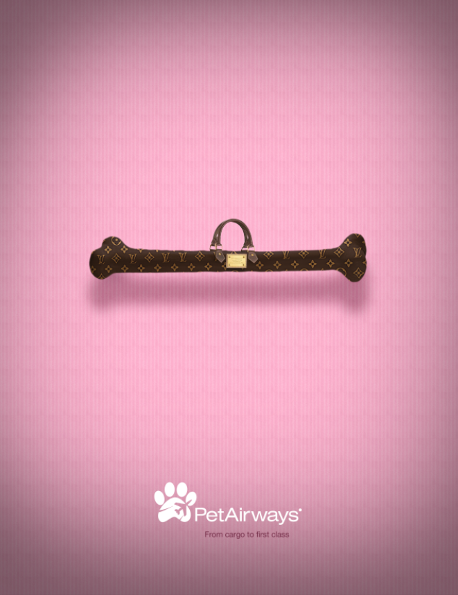 pet airways airline Travel Pet pets Louis vuitton SCAD caracas dog bone