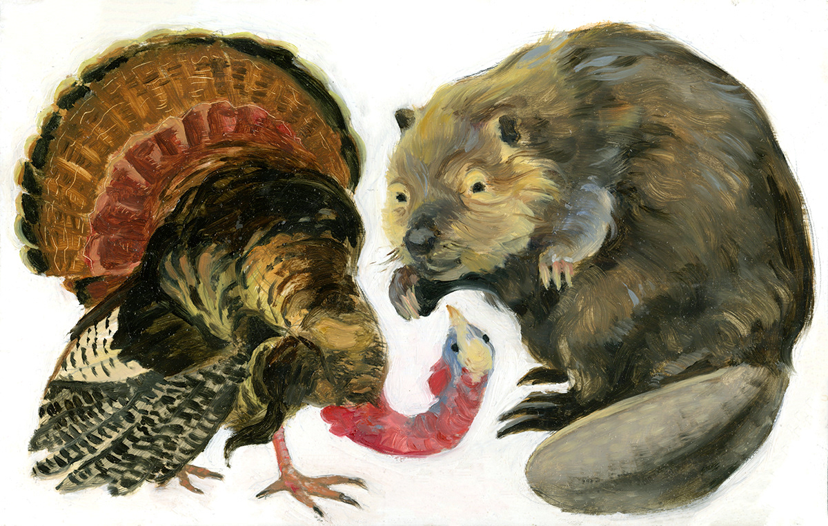 editorial Editorial Illustration thanksgiving Turkey beaver painting   Oil Painting book review