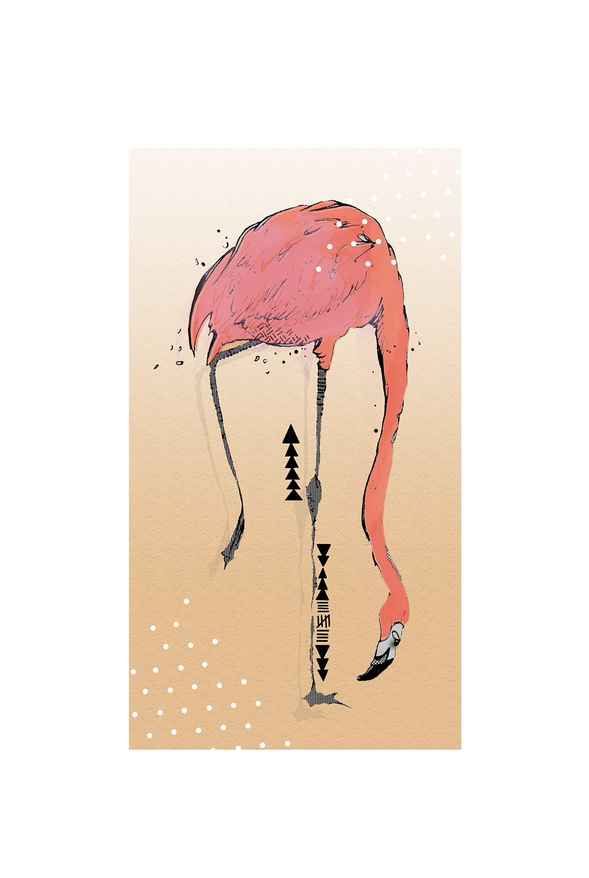 graphics  Flamingo bird print