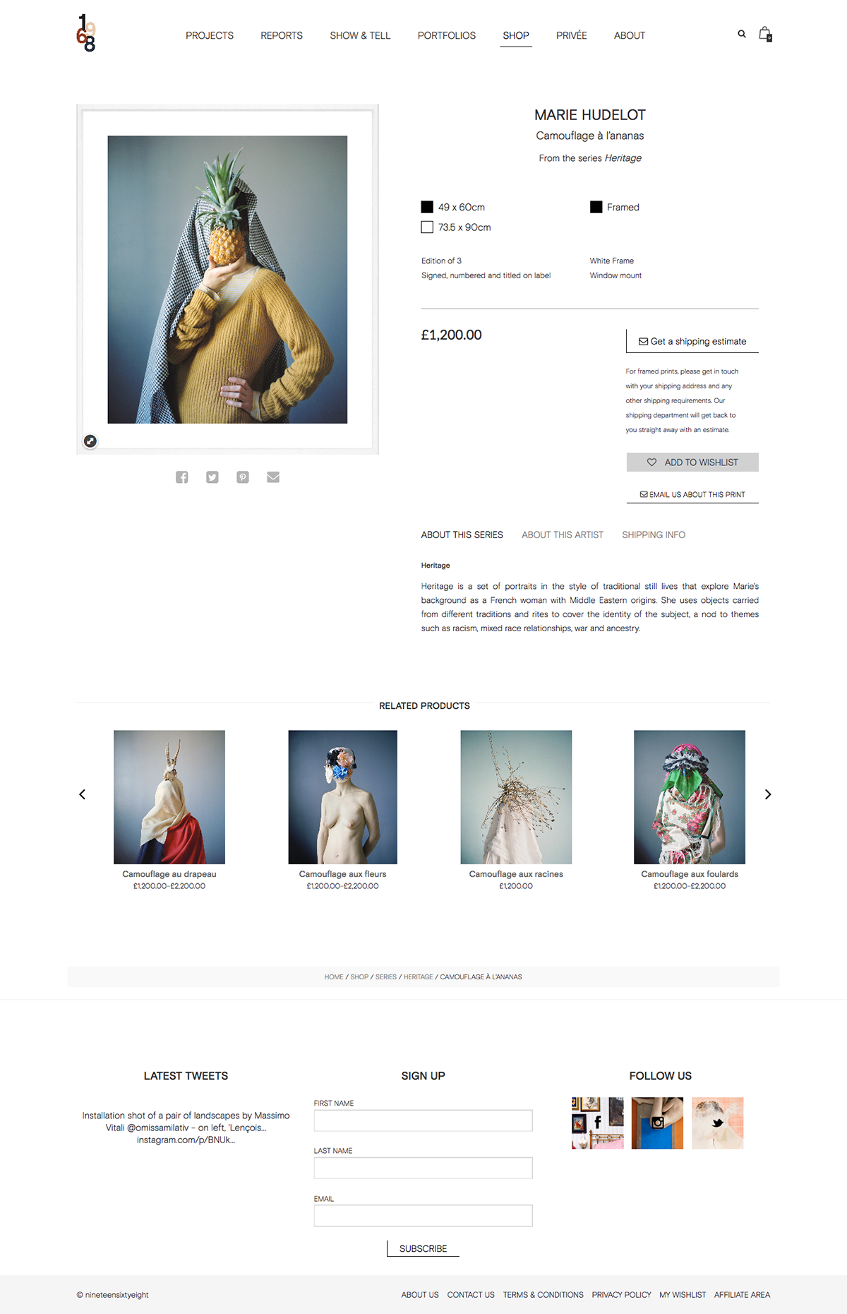 Web Design  Photography  wordpress web layout web development 