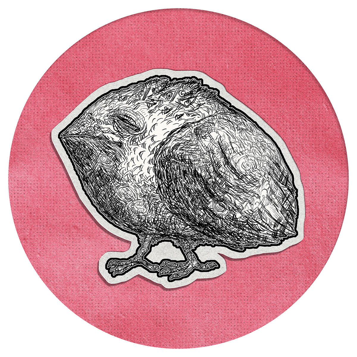 A bizarre bird is drawn with graphite using detailed lines placed on a deep pink circle background.