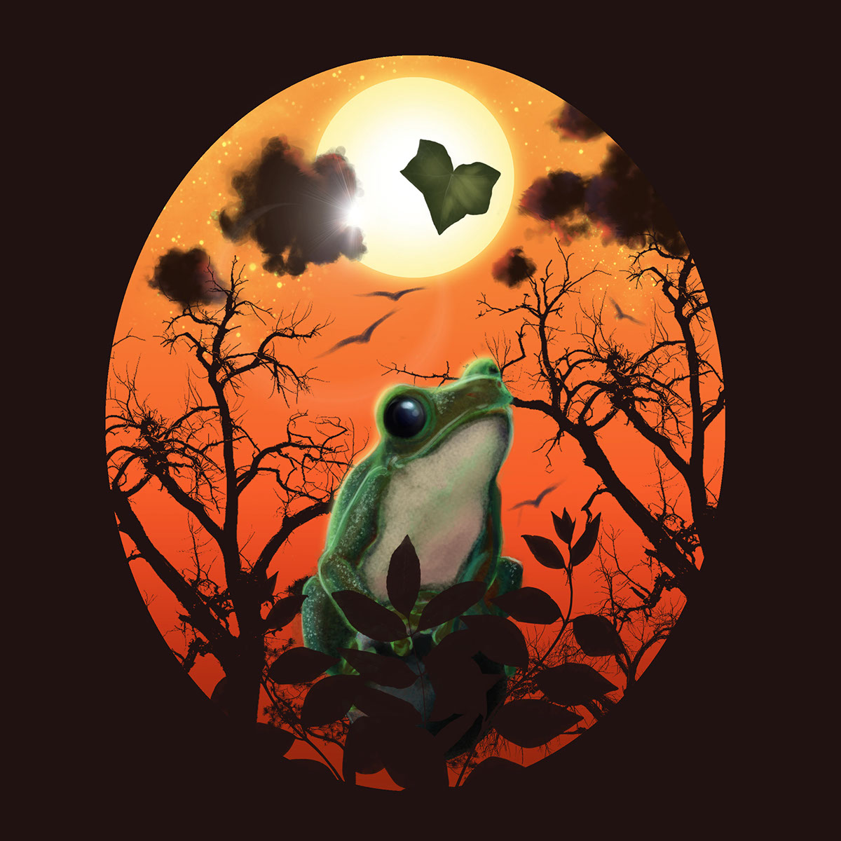 SaveTheFrogs frogs Nature wildlife amphibians trees stars Sun shooting stars