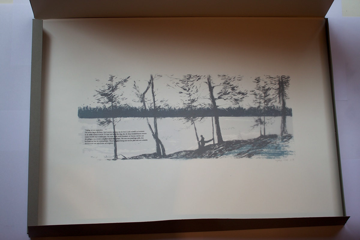 silkscreen forest Sweden greatness of nature Nature Tree  trees layers chalk Project final
