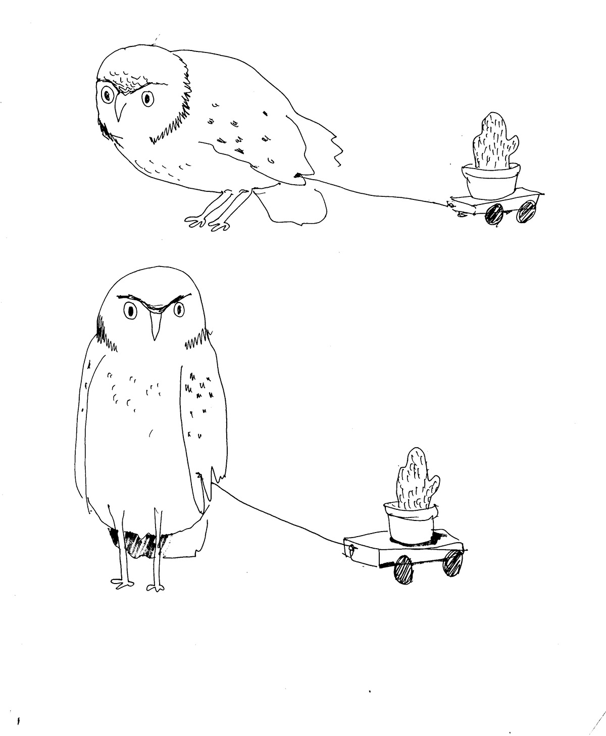 watercolor scratchboard childrens books books narrative cactus owl Fantastic Mr Fox pen sketches