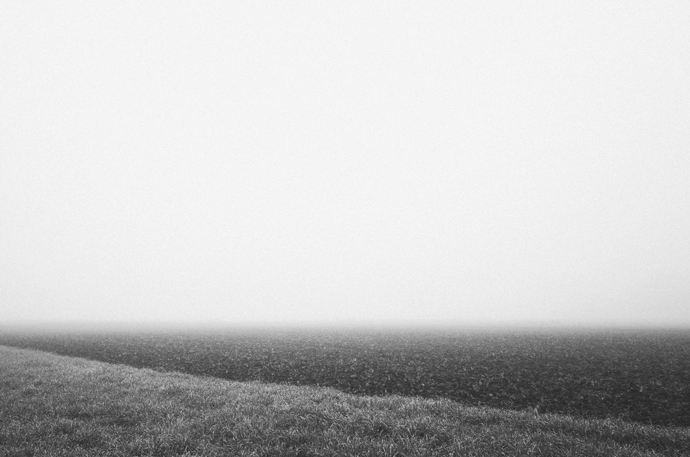 field empty Minimalism minimal Space  fog rain line Tree  lonely abstract Foreign germany Hessen bw