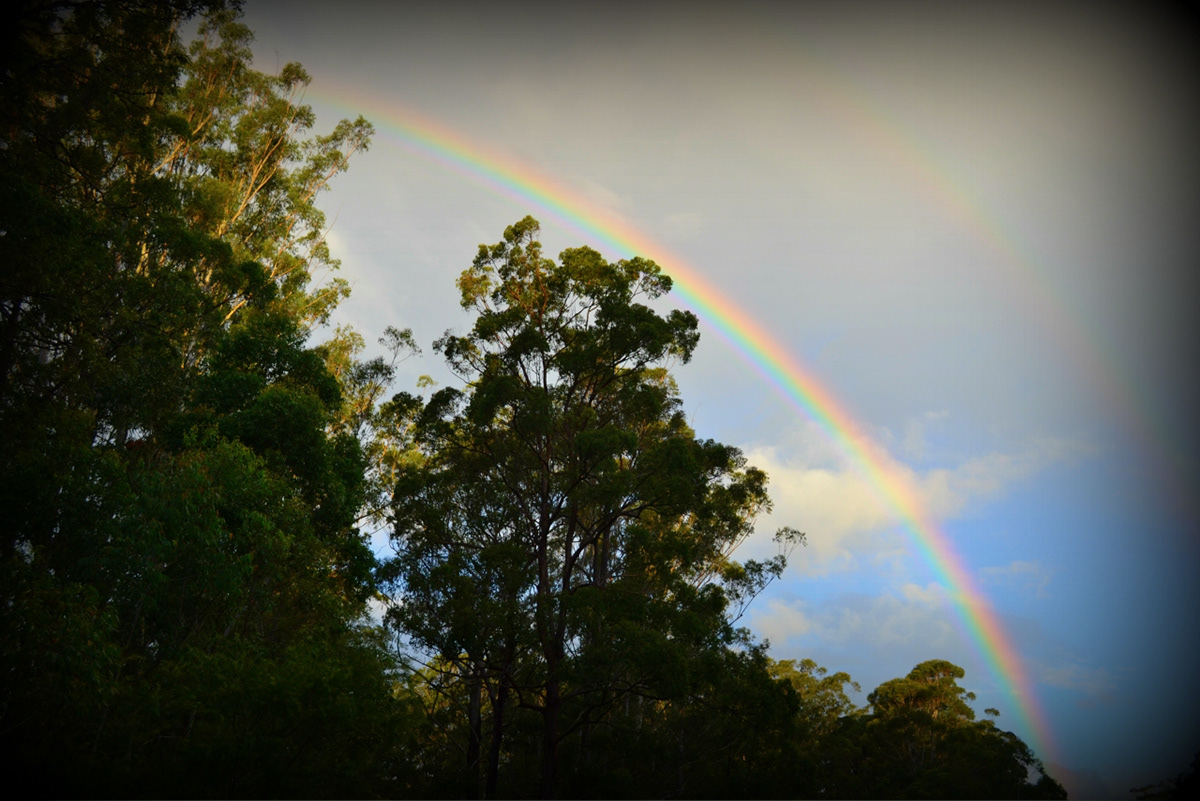 rainbow rainbows Around the world withsunday island New Zealand Australia