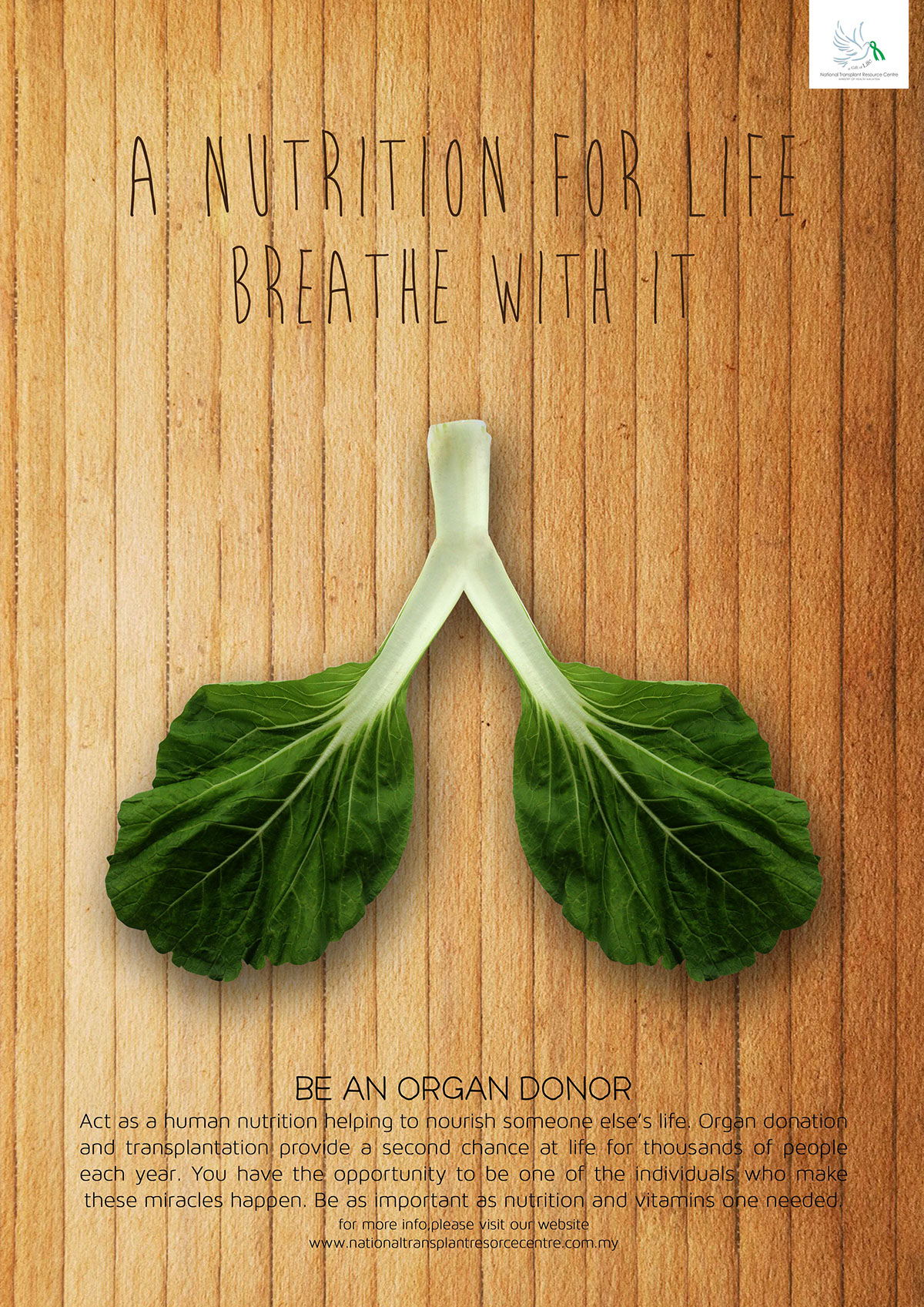 organ donation Indirect kiwi cabbage beetroot organs campaign print ads poster creative writing headlines Bodycopy