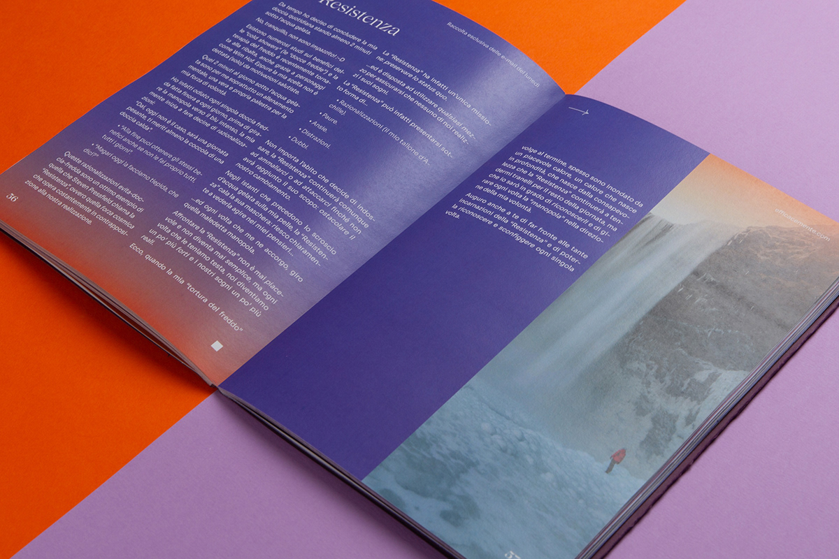 book brand identity editorial gradient grid design InDesign Layout paper print typography  