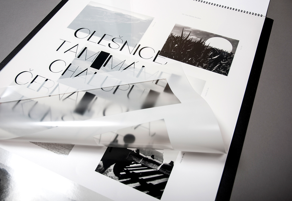 calendar design typo print Layout photos black and white Monograph