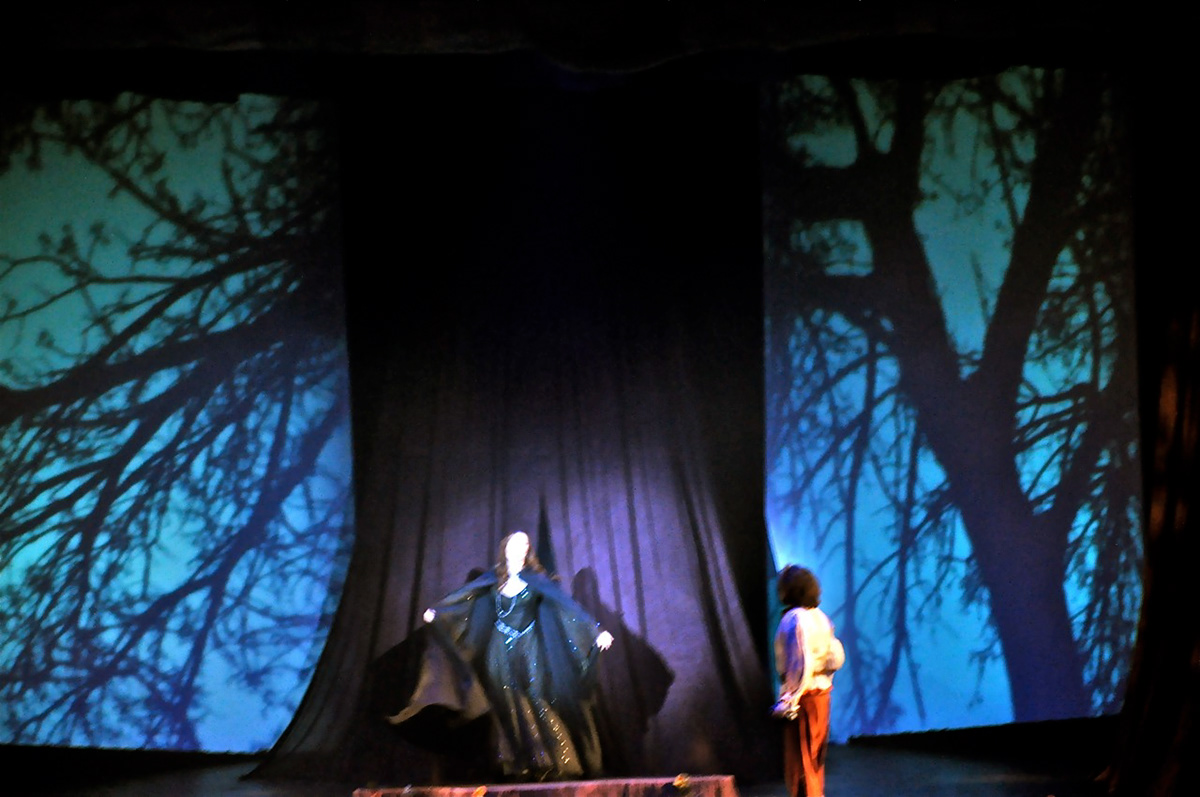 Into the Woods video projection video projection