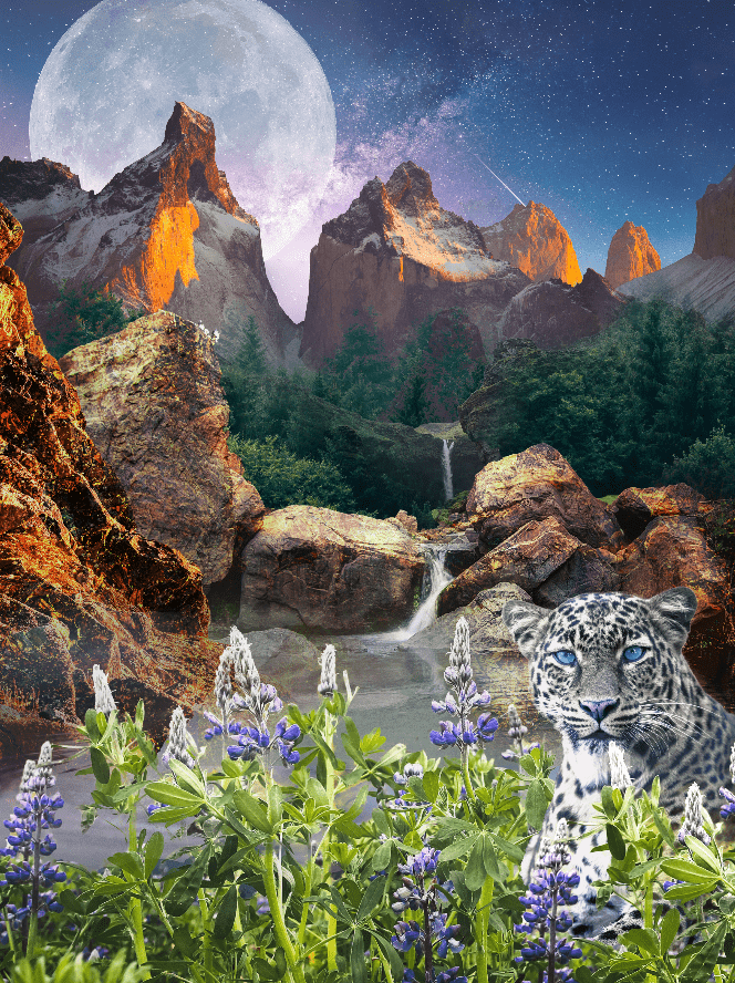 dreamscape gold mountains Landscape Nature Pool scenery Snow Leopard