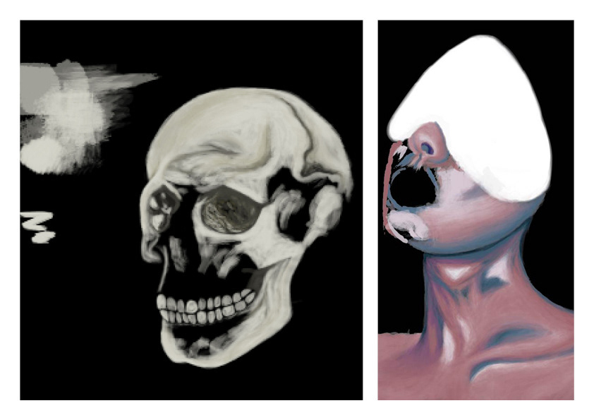 Image may contain: skull, art and bone
