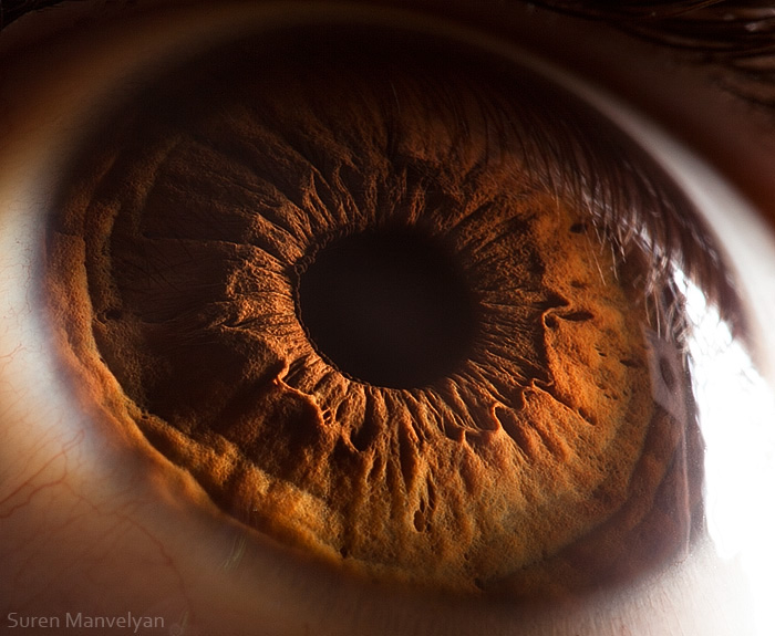 Your beautiful eyes by  Suren Manvelyan