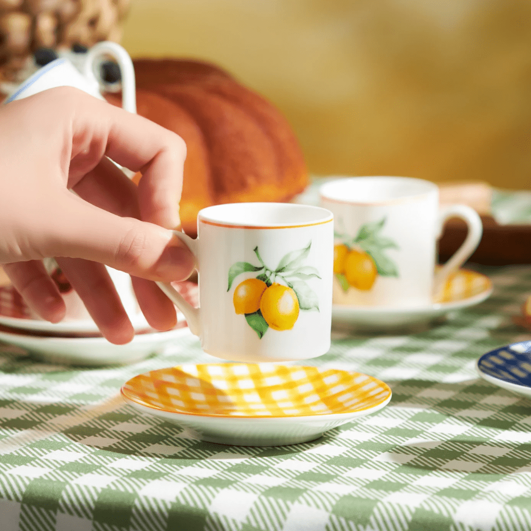 picnic Coffee coffeecup porcelain ceramic plate kitchen Food  fruits tartan