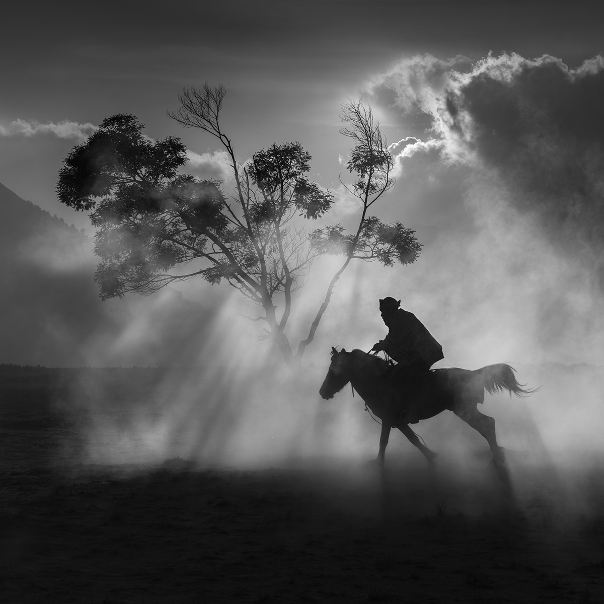 Image may contain: horse, abstract and smoke