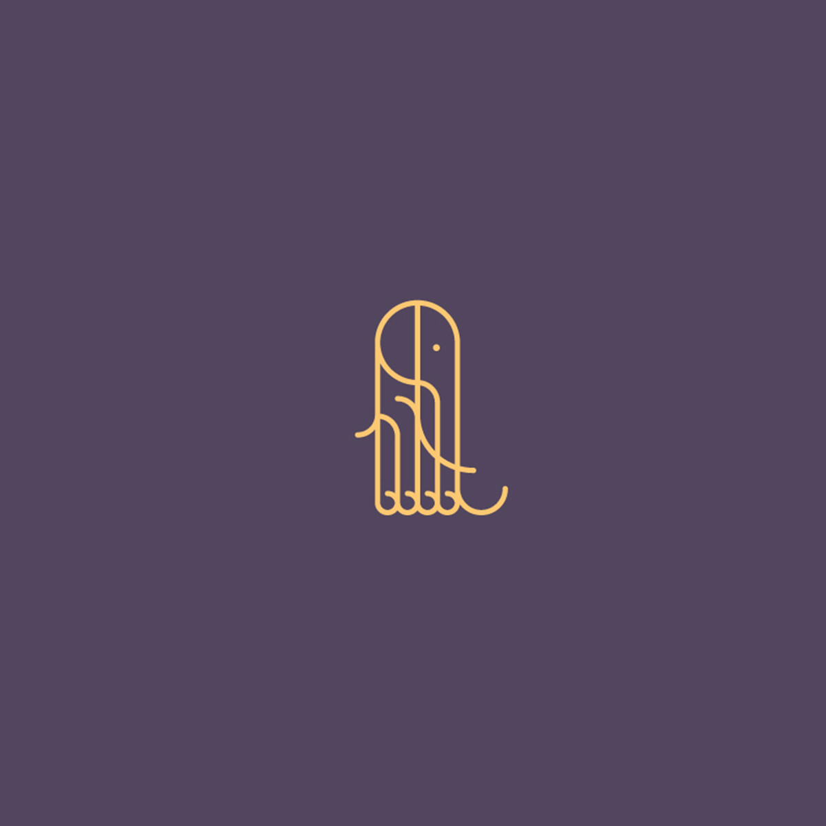 Adobe Portfolio logo brand branding  ILLUSTRATION  typography  