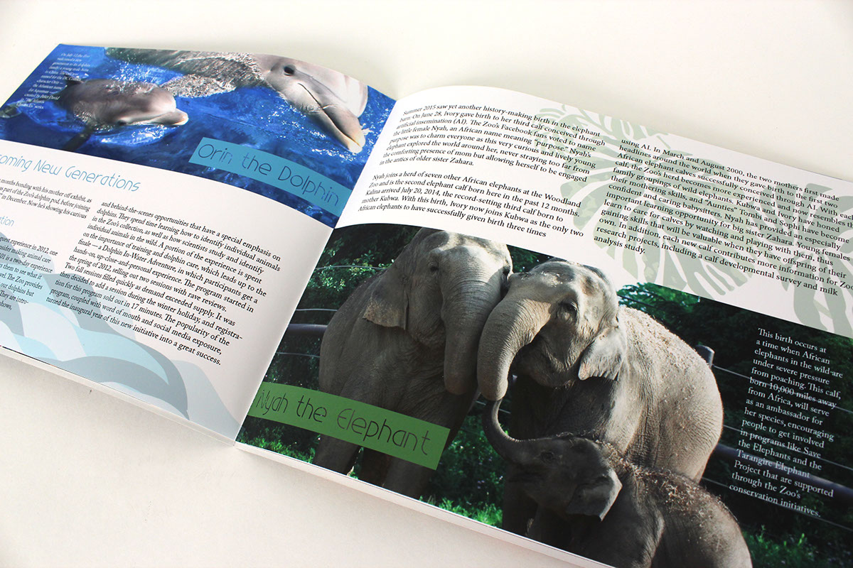 ANNUAL report zoo Layout