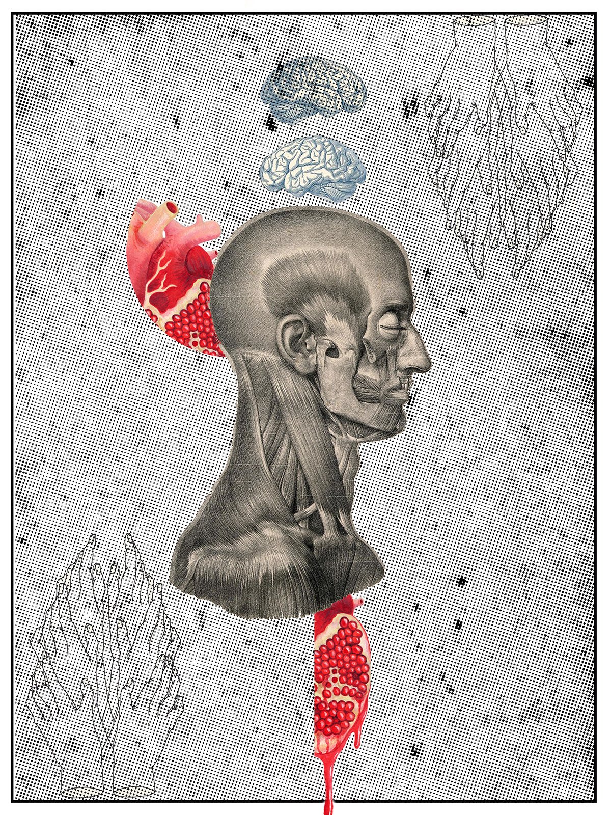 anatomia anatomy collage collagedigital retrocollage