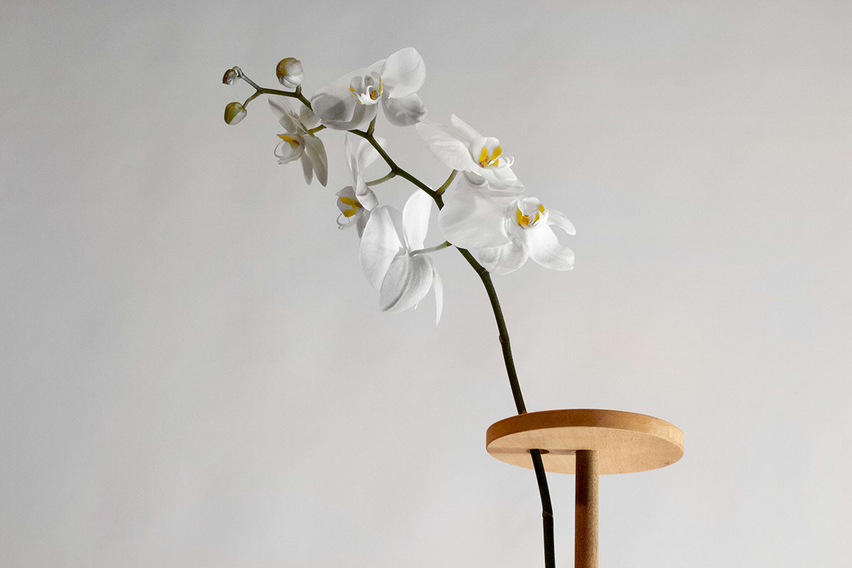ikebana flower Interior furniture table wood mahogany structure