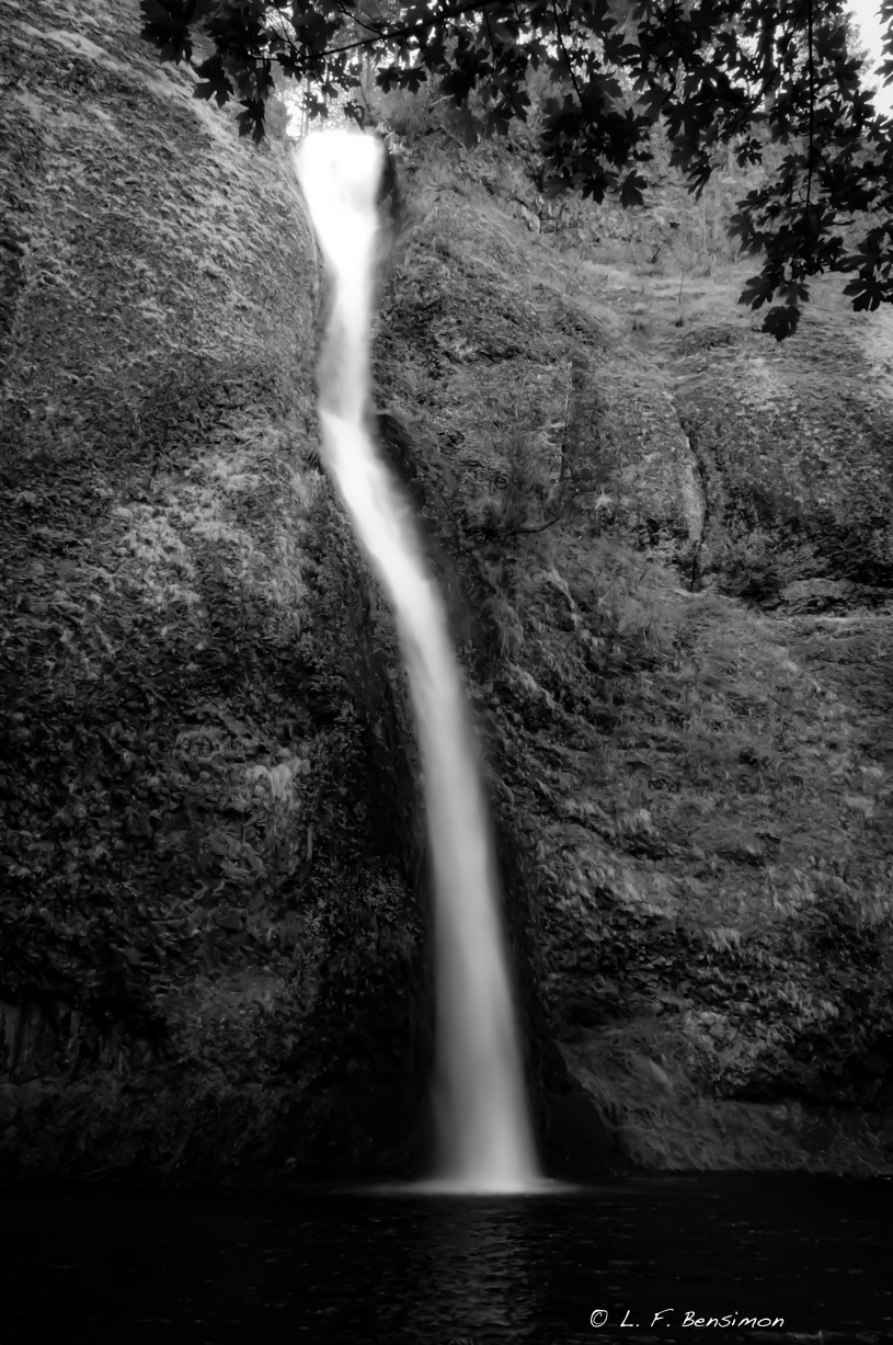 Oregon columbia river pacific north west mountains river waterfall black and white Nature hiking