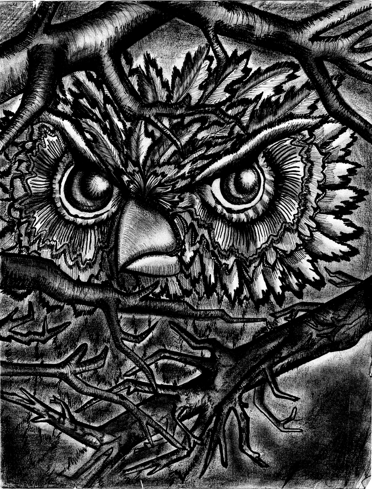 owl sketch charcoal artist b&w midnight feathers fullmoon FIDM fashion design branches mood hand drawn Render