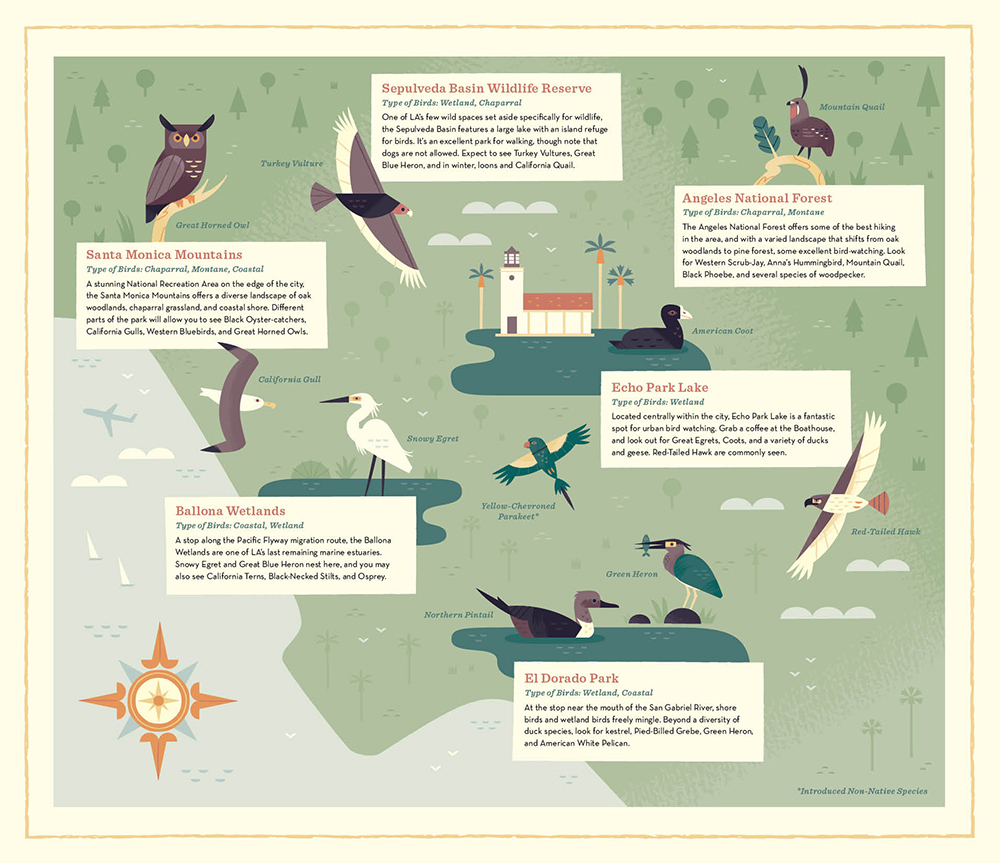 map illustrated map map design illustrated birds birds Nature scientific illustration animals animal illustration Los Angeles