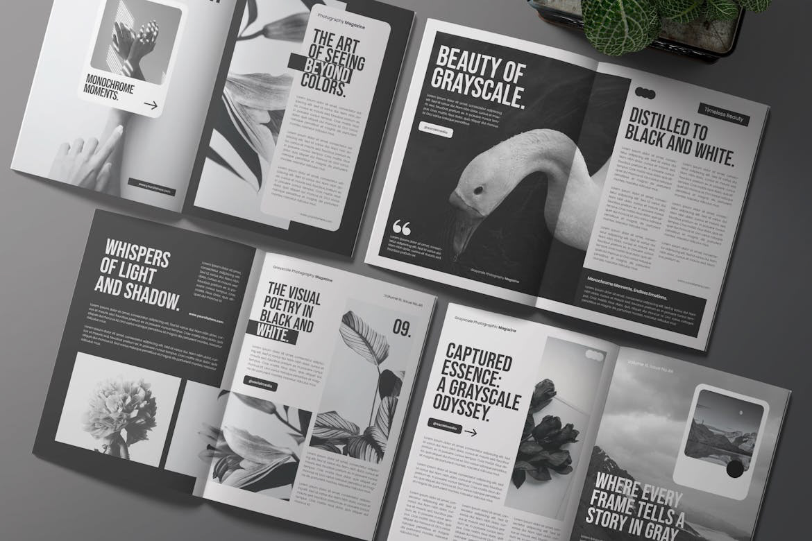 Photography  magazine Magazine design Magazine Cover magazine layout magazines editorial Layout InDesign editorial design 