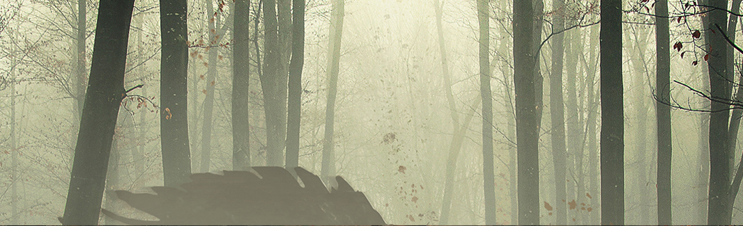 Domenico Sellaro photomanipulation dark obscure angel Nature fog digital artist Shadows wind fantasy wacom concept art