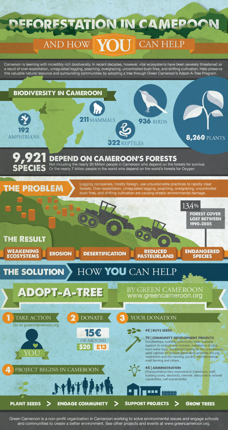 infographic environment Sustainability Education fundraiser non-profit volunteer charity cameroon Deforestation information