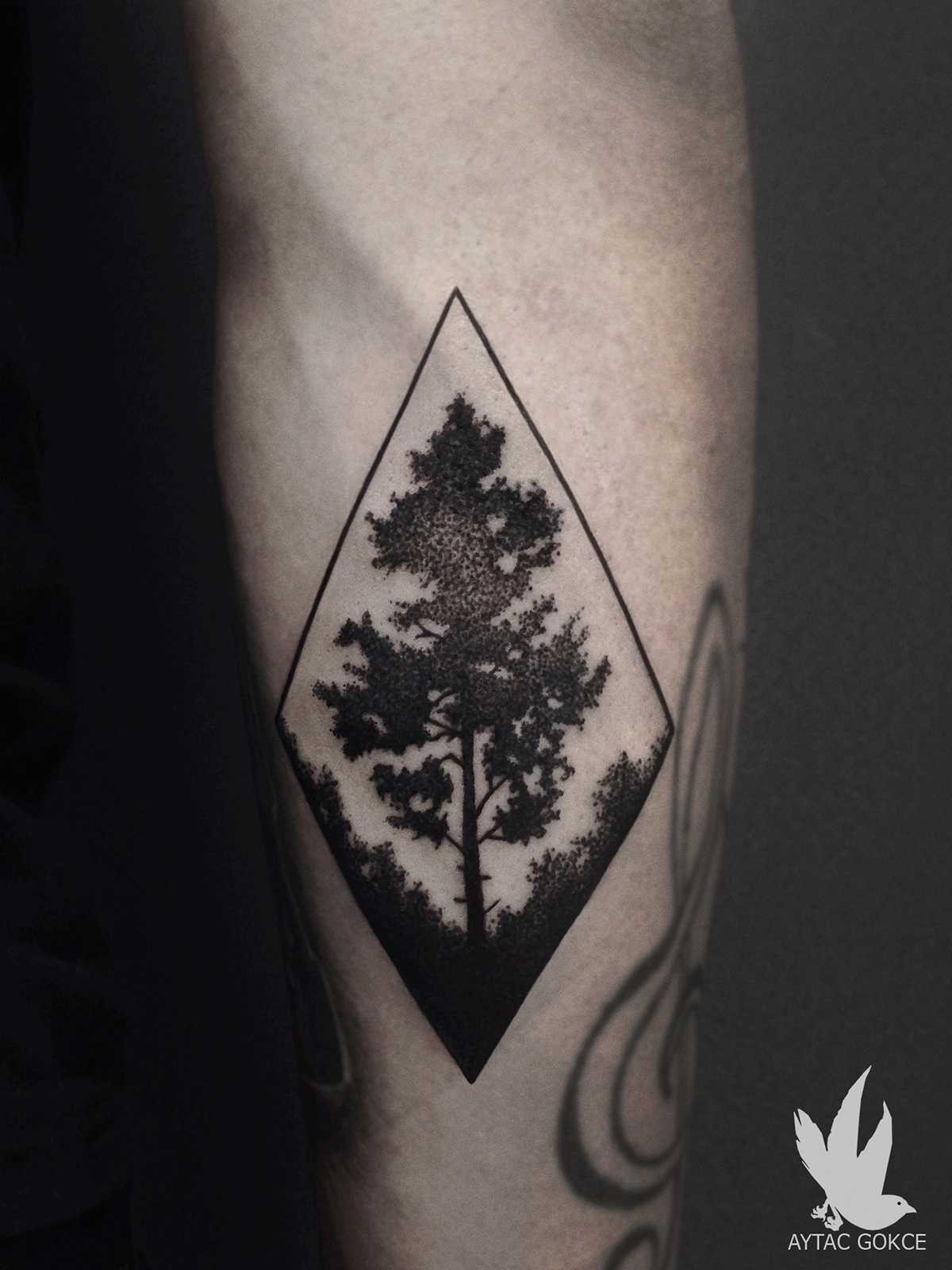 Tree  triangle tattoo blackandwhite tattoos geometric dotwork dot darkart blackwork