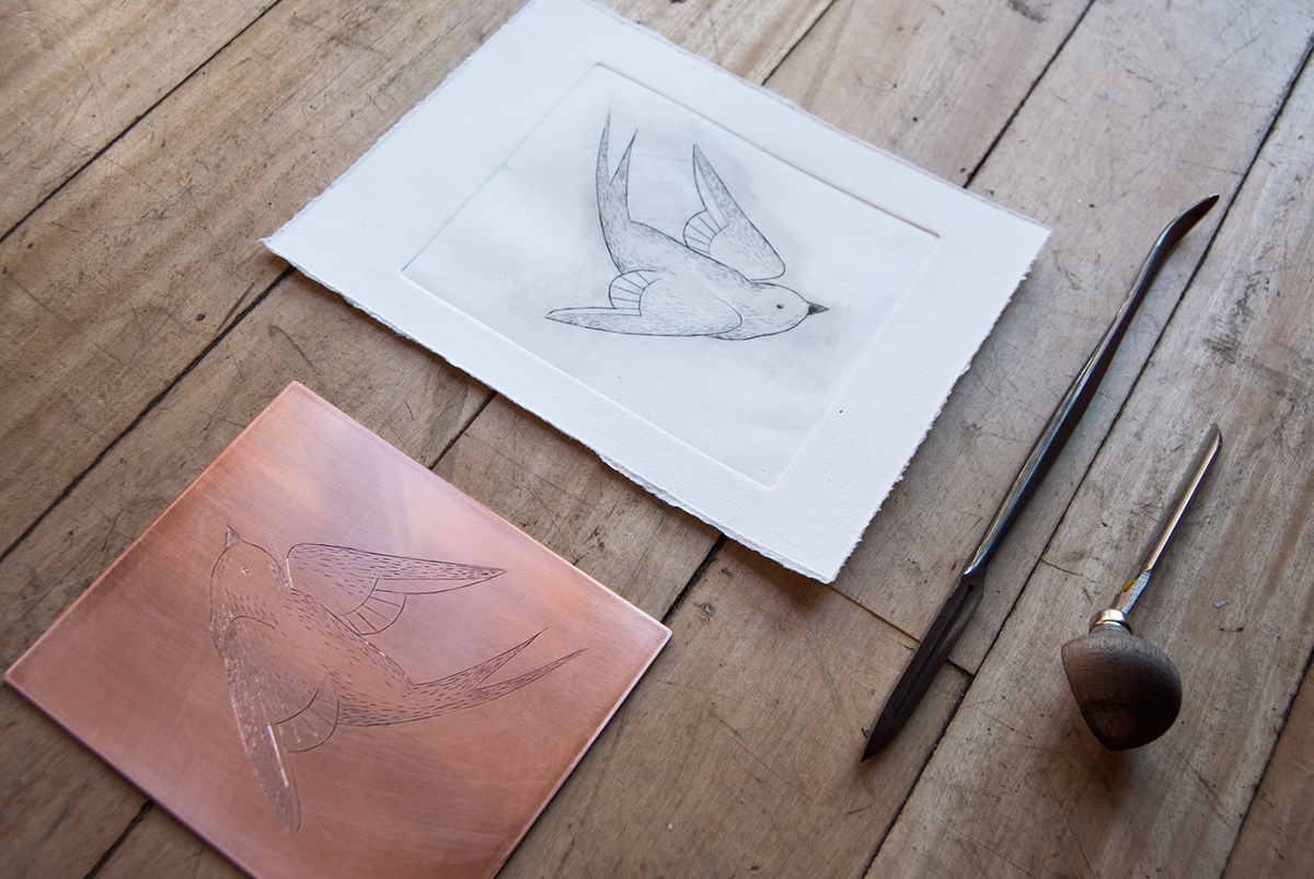 swallow bird burin engraving Printing FINEART bulino chalcography calcografia